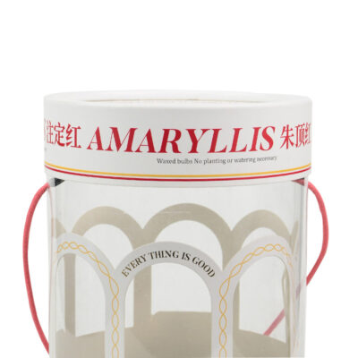 Snacks Nuts Chocolate Food Grade Paper Tubes Packaging